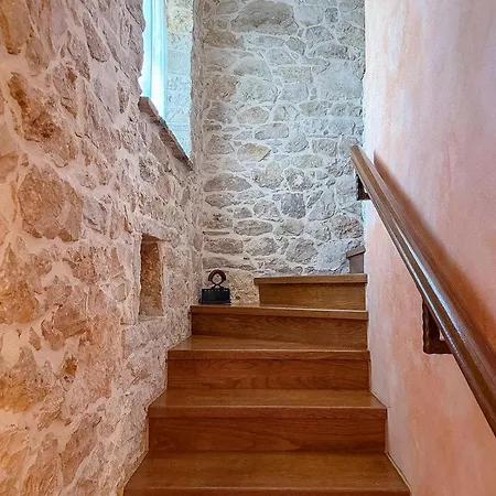 House Stancija Bursic 度假居 卡尼卡